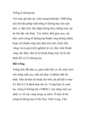 Kỹ thuật Trồng cây ổi không hạt 