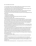 Tài liệu LUẬT SO SÁNH - Bài 4 & 5