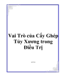 Vai Trò của Cấy Ghép Tủy Xương trong Điều Trị