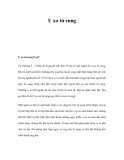Bệnh U xơ tử cung 