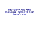 Bài giảng: Protein và acid amin trong dinh dưỡng va thức ăn thủy sản