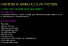 CHƯƠNG II: AMINO ACID VÀ PROTEIN