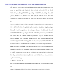 Bao cáo phân tích tình hình tài chính công ty Xây dựng và lắp máy điện nước - 4