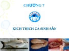 CHƯƠNG 7  KÍCH THÍCH CÁ SINH SẢN