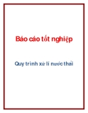 Báo cáo tốt nghiệp: Quy trình xử lí nước thải