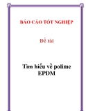 Đề tài: Tìm hiểu về polime EPDM