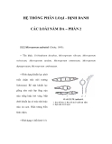 HỆ THỐNG PHÂN LOẠI - ĐỊNH DANH CÁC LOÀI NẤM DA – PHẦN 2 