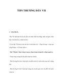 TỔN THƯƠNG DÂY VIII  