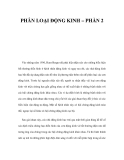 PHÂN LOẠI ĐỘNG KINH – PHẦN 2 