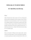 TỔNG QUAN VỀ KÍCH THÍCH TỪ TRƯỜNG XUYÊN SỌ 