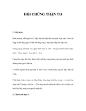 TÀI LIỆU HỘI CHỨNG THẬN TO  