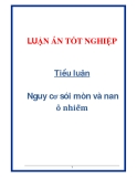 Tiểu luận: Nguy cơ sói mòn và nạn ô nhiễm