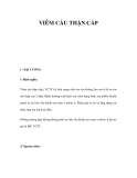 NGUYÊN NHÂN VIÊM CẦU THẬN CẤP 