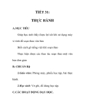 Giáo án tin học 7_ tiết 31
