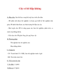 Giáo án Sinh học lớp 6 : Tên bài dạy : Cây có hô hấp không