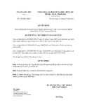Quyết định số 196/QĐ-UBDT 