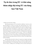 Tự do hóa trong EU và khả năng thâm nhập thị trờng EU của hàng hoá Việt Nam_3