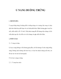 TỔNG QUAN U NANG BUỒNG TRỨNG 
