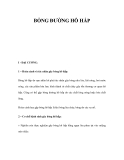 BỎNG ĐƯỜNG HÔ HẤP 