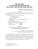 THAY KHỚP HÁNG TOÀN PHẦN CÓ XI MĂNG