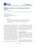 Báo cáo sinh học: "Small changes, big results: evolution of morphological discontinuity in mammals"