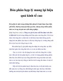 Bón phân hợp lý đạt hiệu quả kinh tế cao 