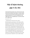 Bệnh thường gặp ở cây nho 