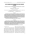 Báo cáo nông nghiệp:" Ảnh hưởng của cấu trúc rừng ngập mặn đến quy luật giảm chiều cao sóng biển ở Việt Nam"