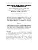 Báo cáo nông nghiệp: " ảNH HƯởNG CủA DUNG DịCH DINH DƯỡNG ĐếN NĂNG SUấT Củ NHỏ (MINITUBER) KHOAI TÂY SảN XUấT BằNG Kỹ THUậT KHí CANH"