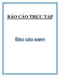 Báo cáo asen