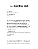 Các loài thiên địchCon đuôi kìm 