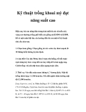 Kỹ thuật trồng khoai mỳ đạt năng suất cao 
