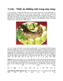 Cá lóc - Thức ăn dưỡng sinh trong mùa nóng