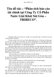 BẢN TÓM TẮT  Tên đề tài: : “Phân tích báo cáo tài chính tại Công Ty Cổ Phần Nước Giải Khát Sài Gòn – TRIBECO”.