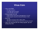 Bài giảng CHẨN ĐOÁN, XỬ TRÍ VÀ PHÒNG LÂY NHIỄM CÚM A (H5N1) Ở NGƯỜI part 3