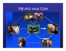 Bài giảng CHẨN ĐOÁN, XỬ TRÍ VÀ PHÒNG LÂY NHIỄM CÚM A (H5N1) Ở NGƯỜI part 4