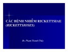 Bài giảng Các bệnh nhiễm rickettsiae (rickettsioses) part 1