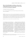 Báo cáo lâm nghiệp: "Effect of initial height of seedlings on the growth of planting material of Norway spruce (Picea abies [L.] Karst.) in mountain conditions"