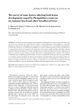 Báo cáo lâm nghiệp: "The survey of some factors affecting bark lesion development caused by Phytophthora cactorum on common beech and other broadleaved trees"