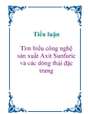 Tiểu luận: Tìm hiểu công nghệ sản xuất Axit Sunfuric và các dòng thải đặc trưng