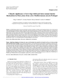 Báo cáo lâm nghiệp: "Climatic signiﬁcance of tree-ring width and intra-annual density ﬂuctuations in Pinus pinea from a dry"