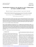 Báo cáo lâm nghiệp: "Morphological evaluation of cork oak (Quercus suber): Mediterranean provenance variability in Tunisia"