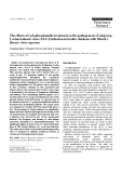 Báo cáo khoa học: "The effects of cyclophosphamide treatment on the pathogenesis of subgroup J avian leukosis virus (ALV-J) infection in broiler chickens with Marek's disease virus exposure"