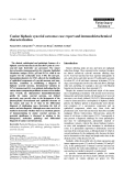 Báo cáo khoa học: "Canine biphasic synovial sarcoma: case report and immunohistochemical characterization"