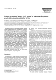 Báo cáo khoa học: "Primary structure of mature SAG1 gene of an Indonesian Toxoplasma gondii and comparison with other strains"