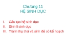 hệ sinh dục