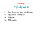 HỆ THỤ CẢM