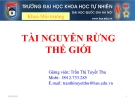 BÁO CÁO: TÀI NGUYÊN RỪNG THẾ GIỚI