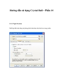 Hướng dẫn sử dụng Crystal Ball – Phần 14