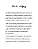 Ruồi, nhặng 